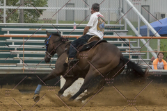 PCSChorseshow81614_IMG_5328