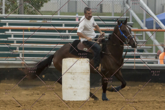 PCSChorseshow81614_IMG_5330