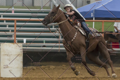 PCSChorseshow81614_IMG_5343