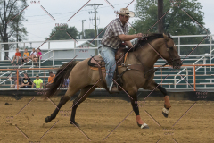 PCSChorseshow81614_IMG_5367