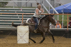 PCSChorseshow81614_IMG_5369