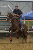 PCSChorseshow81614_IMG_5382