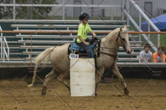 PCSChorseshow81614_IMG_5397