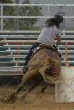 PCSChorseshow81614_IMG_5405
