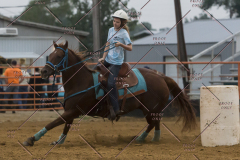 PCSChorseshow81614_IMG_5419