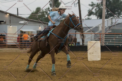 PCSChorseshow81614_IMG_5423