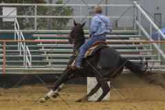PCSChorseshow81614_IMG_5424