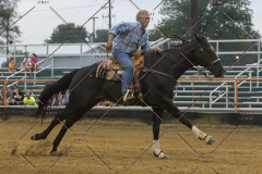 PCSChorseshow81614_IMG_5433