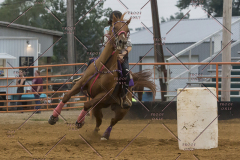 PCSChorseshow81614_IMG_5441