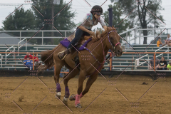 PCSChorseshow81614_IMG_5443