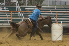 PCSChorseshow81614_IMG_5463