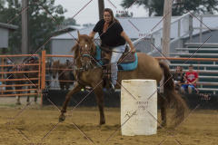 PCSChorseshow81614_IMG_5474