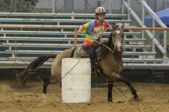 PCSChorseshow81614_IMG_5481