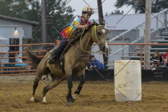 PCSChorseshow81614_IMG_5487