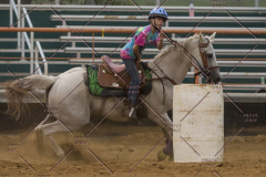 PCSChorseshow81614_IMG_5491