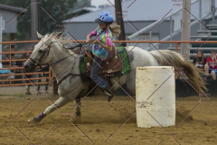 PCSChorseshow81614_IMG_5497