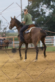 PCSChorseshow81614_IMG_5525