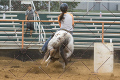 PCSChorseshow81614_IMG_5527