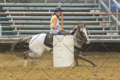 PCSChorseshow81614_IMG_5529