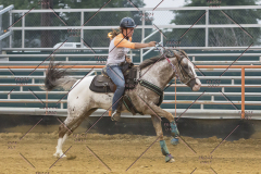 PCSChorseshow81614_IMG_5533