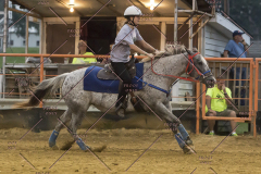 PCSChorseshow81614_IMG_5542