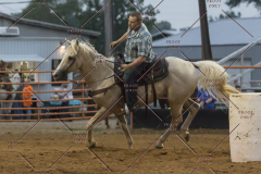 PCSChorseshow81614_IMG_5558