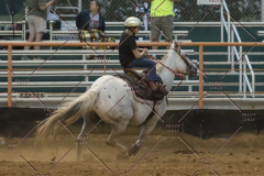 PCSChorseshow81614_IMG_5568