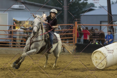 PCSChorseshow81614_IMG_5573