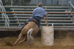 PCSChorseshow81614_IMG_5576