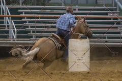 PCSChorseshow81614_IMG_5578