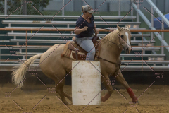 PCSChorseshow81614_IMG_5586