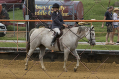 PCSChorseshow81614_IMG_3487