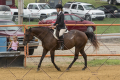 PCSChorseshow81614_IMG_3497