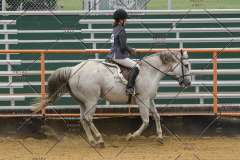 PCSChorseshow81614_IMG_3510