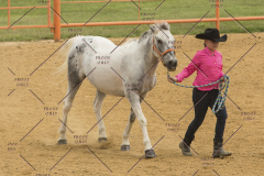 PCSChorseshow81614_IMG_2484