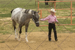 PCSChorseshow81614_IMG_2487