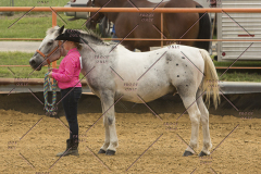 PCSChorseshow81614_IMG_2499