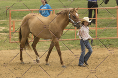 PCSChorseshow81614_IMG_2503