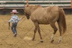 PCSChorseshow81614_IMG_2532