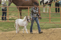 PCSChorseshow81614_IMG_2641