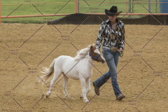 PCSChorseshow81614_IMG_2646