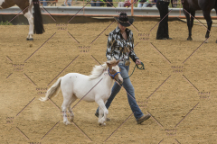 PCSChorseshow81614_IMG_2648