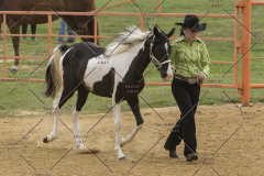 PCSChorseshow81614_IMG_2653