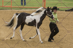 PCSChorseshow81614_IMG_2656