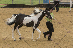 PCSChorseshow81614_IMG_2657