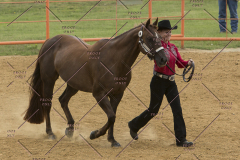 PCSChorseshow81614_IMG_2666