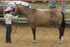 PCSChorseshow81614_IMG_2675