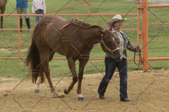 PCSChorseshow81614_IMG_2681