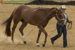 PCSChorseshow81614_IMG_2685