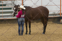 PCSChorseshow81614_IMG_2693